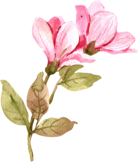 Valentine Flowers Decorative